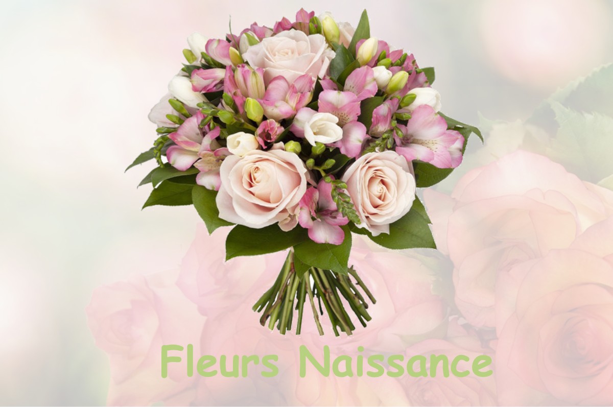 fleurs naissance MOLIETS-ET-MAA