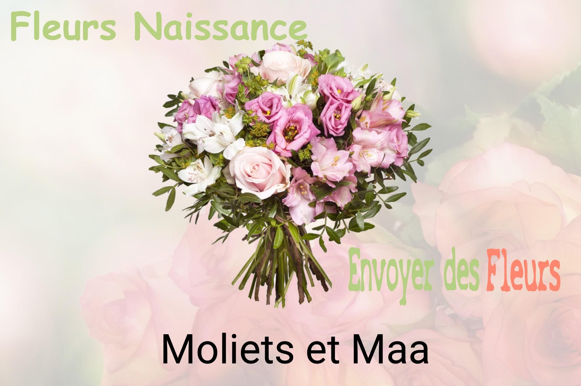 Bouquet de fleurs de naissance livré à Moliets-et-Maa