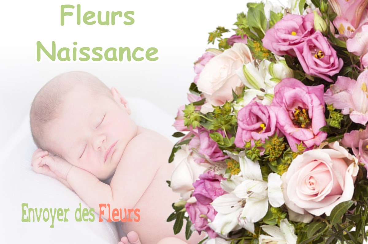 lIVRAISON FLEURS NAISSANCE à MOLIETS-ET-MAA