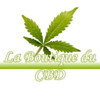 LA BOUTIQUE DU CBD MOLIETS-ET-MAA 