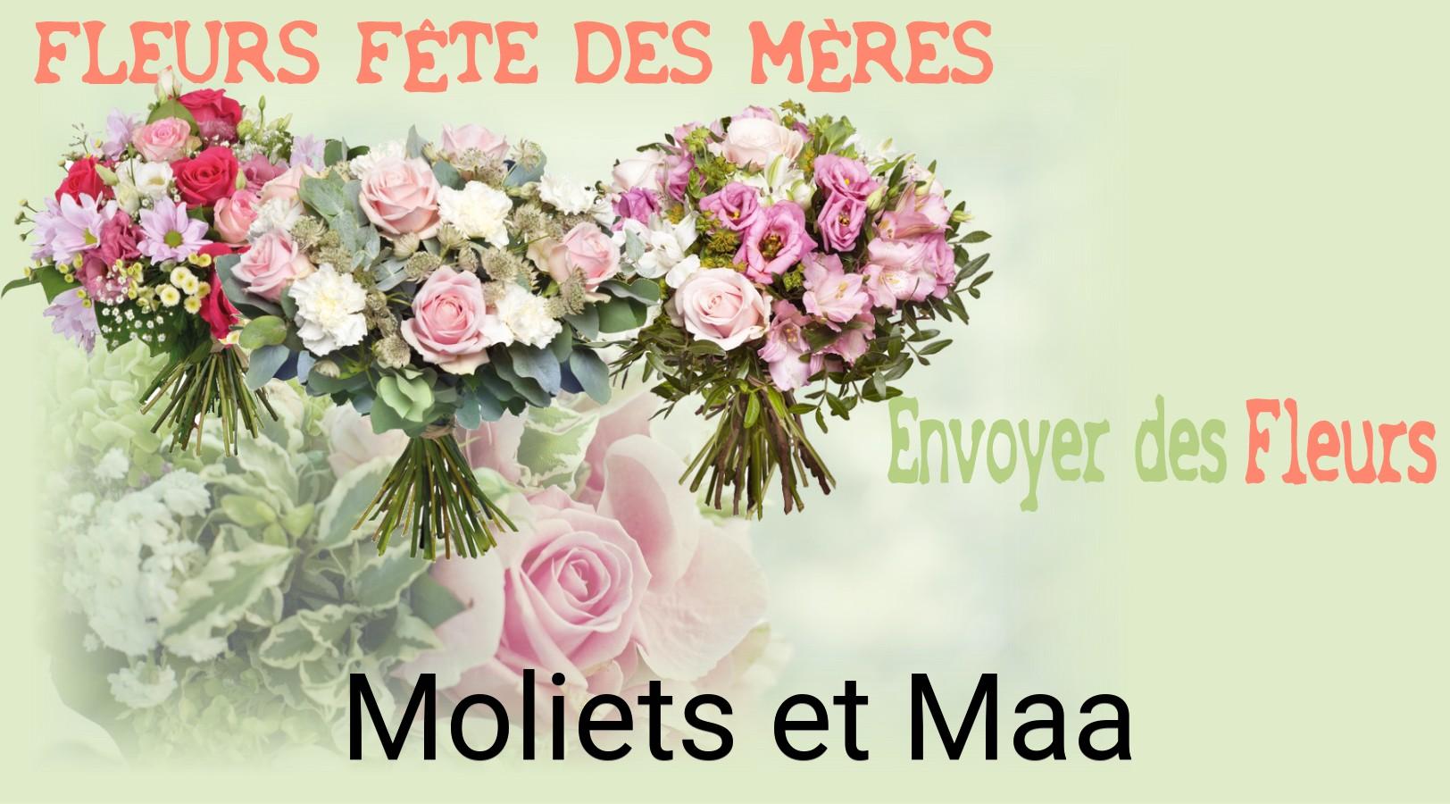 Bouquet de Fête des Mères livré à Moliets-et-Maa